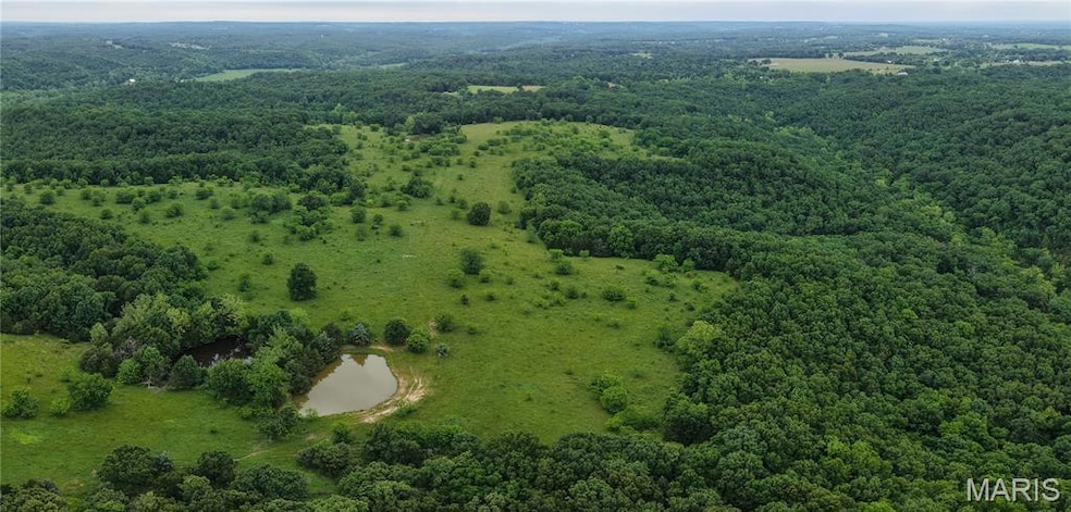Drone / aerial view of a heavily wooded area