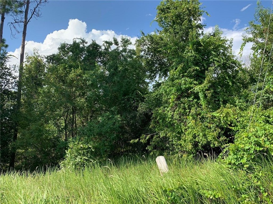 0 7th Ave, Gotha, FL 34734 - photo 1