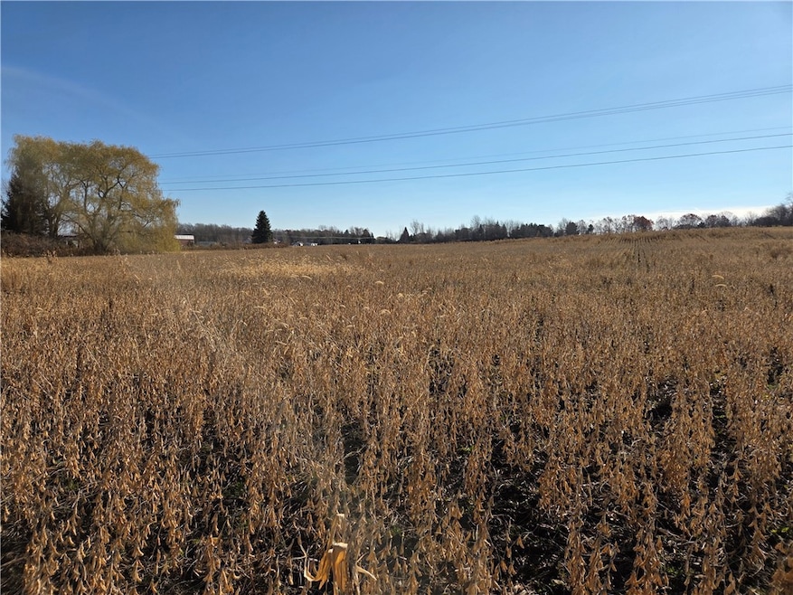 00 New York 96a, Ovid, NY 14521 - photo 1