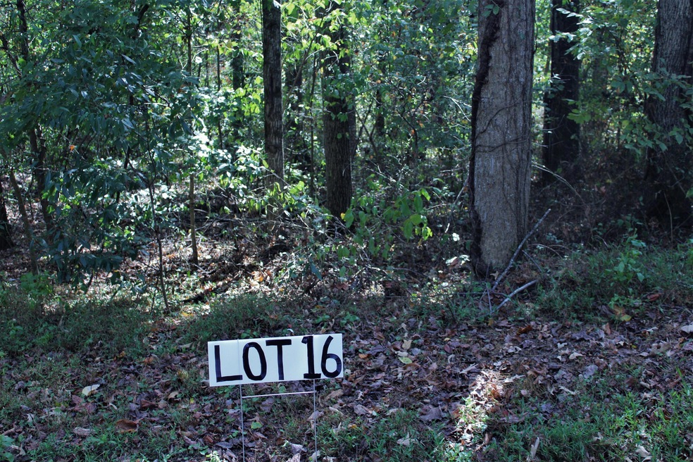 Lot 16