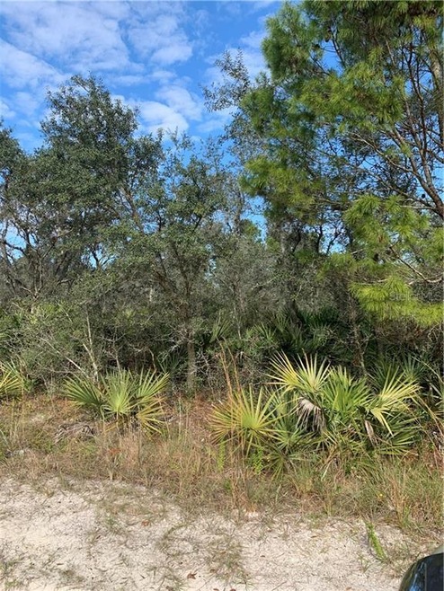 0 Brandywine Trail unit P4913691, Frostproof, FL 33843 - photo 1