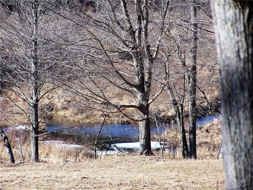 FENTON RIVER RUNS THROUGH LOT