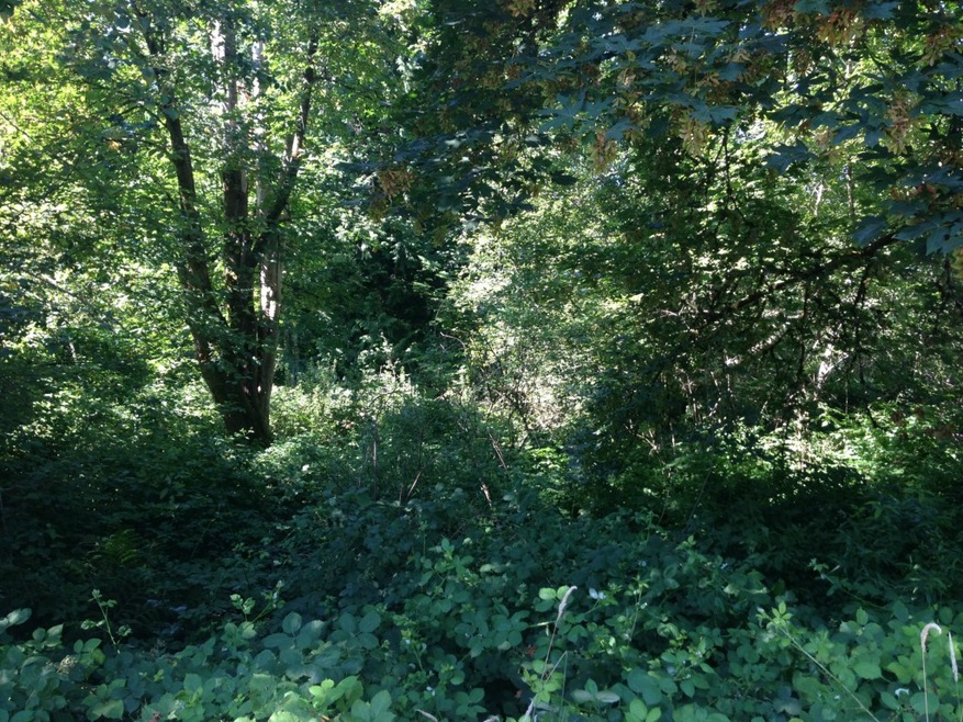 2824 15th Ave SE, Olympia, WA 98501 - photo 1