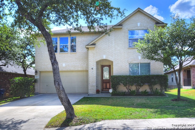 24607 Drew Gap, San Antonio, TX 78255 - photo 1