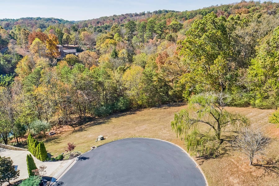 01_HiddenCoveLane_2050_E-BirdsEye