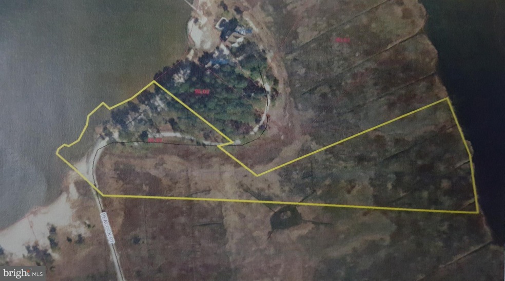 0 Peacock Point unit DESU148212, Dagsboro, DE 19939 - photo 1