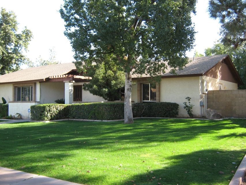 Larkspur front