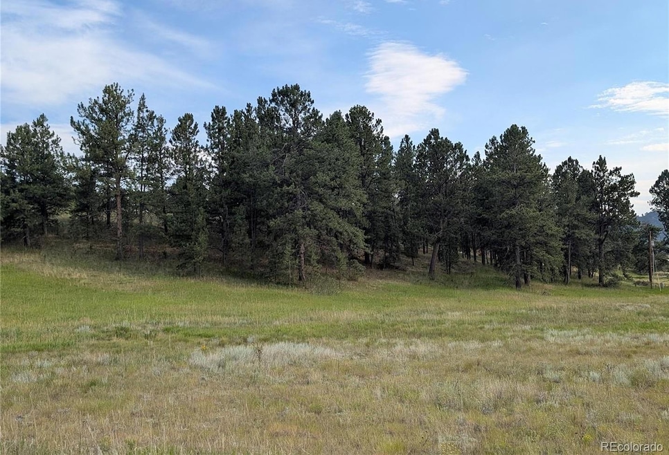 1379 S Mountain Estates Rd, Florissant, CO 80816 - photo 1