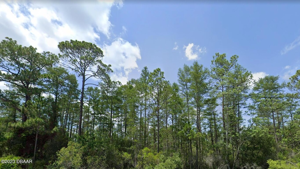 Taylor county lot