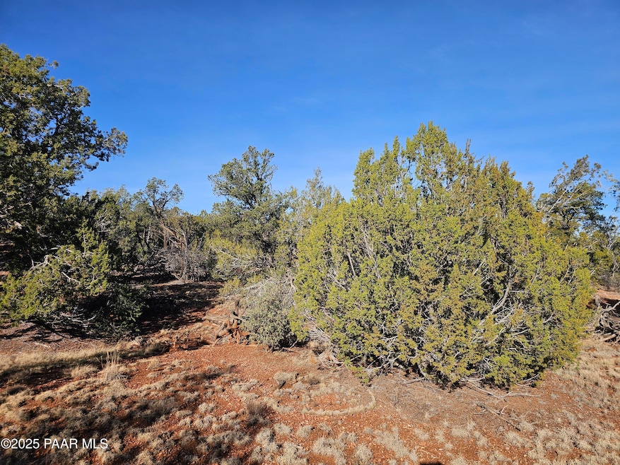54892 N Potrero Ln, Seligman, AZ 86337 - photo 1