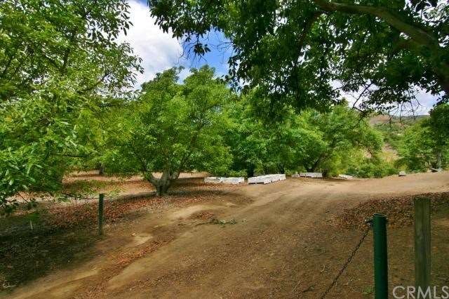 ENTRANCE DRIVE INTO PROPERTY