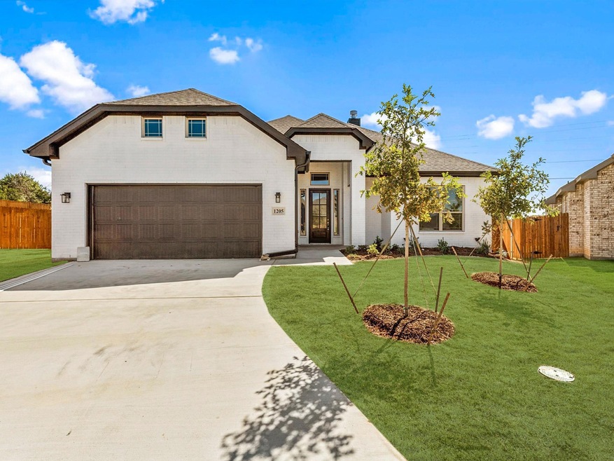 1205 Bear Creek Ave, Weatherford, TX 76086 - photo 1