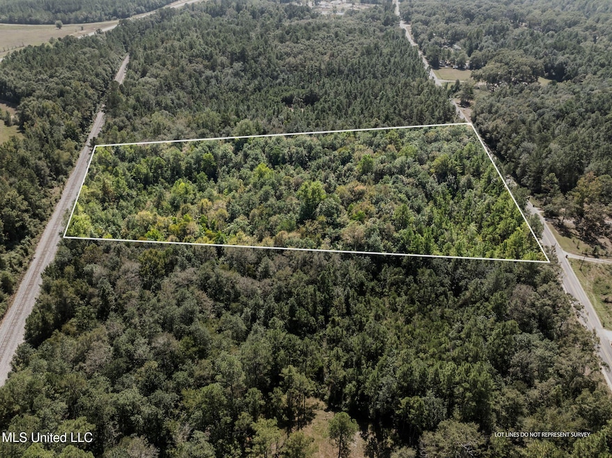 0 Old Hwy 49 unit 4128354, Saucier, MS 39574 - photo 1