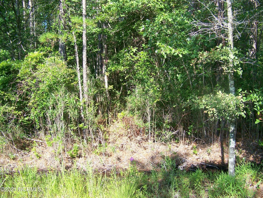 wooded