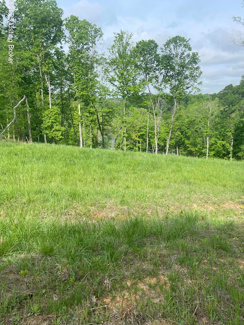 View from road