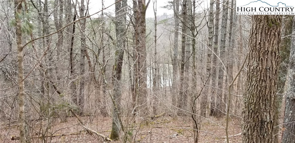 Lots 13-17 Panorama Dr, Todd, NC 28684 - photo 1