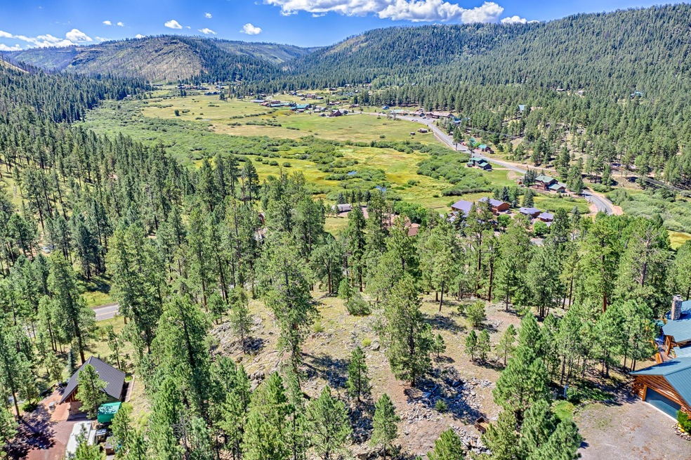 Lot #12 Greer View Estates, Greer, AZ 85927 - photo 1
