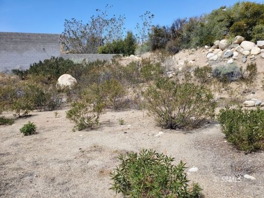 Looking North -back of property line
