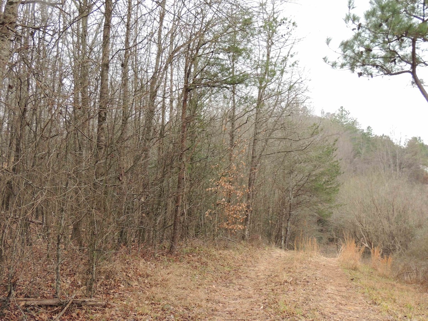 0 Lister Rd, Greer, SC 29651 - photo 1