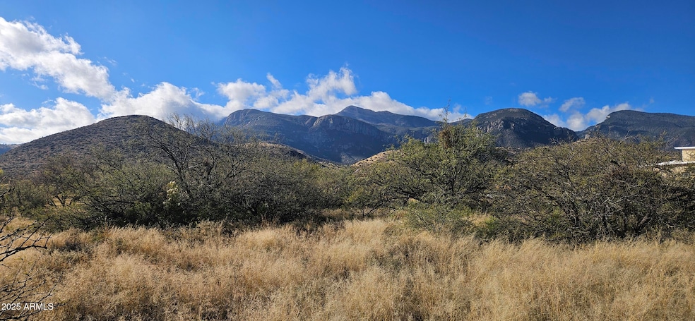 TBD S Stephanie Place, Hereford, AZ 85615 - photo 1