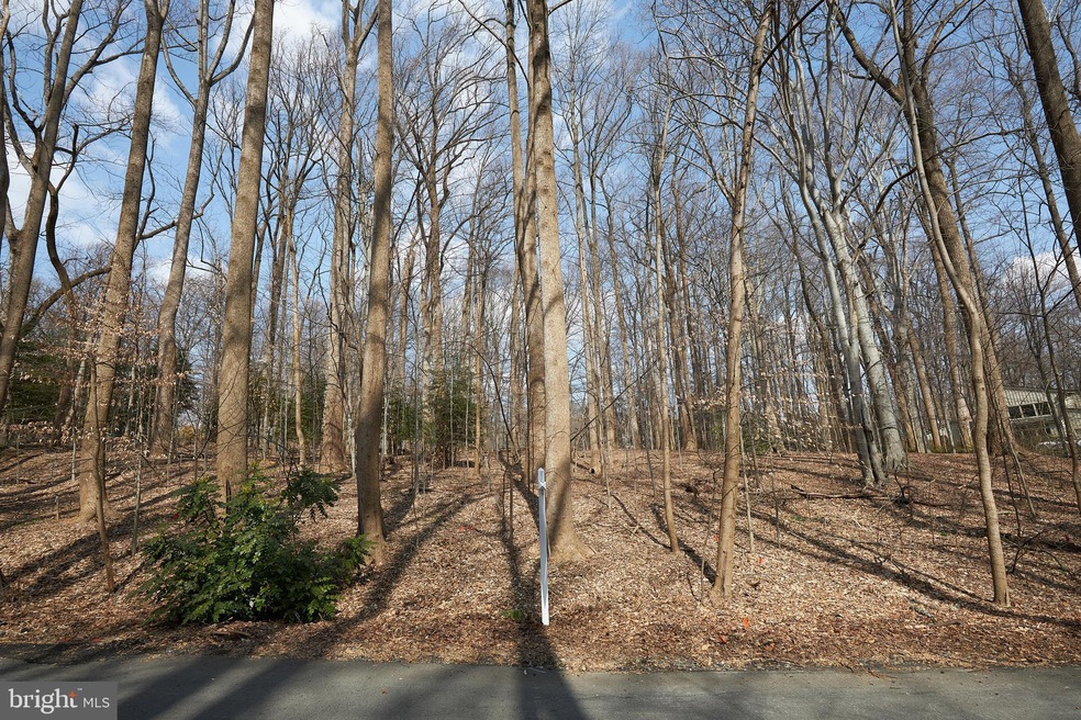 11001 Picasso Ln, Potomac, MD 20854 - photo 1