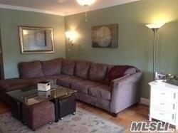 101 Lincoln Ave unit 3A, Mineola, NY 11501 - photo 1