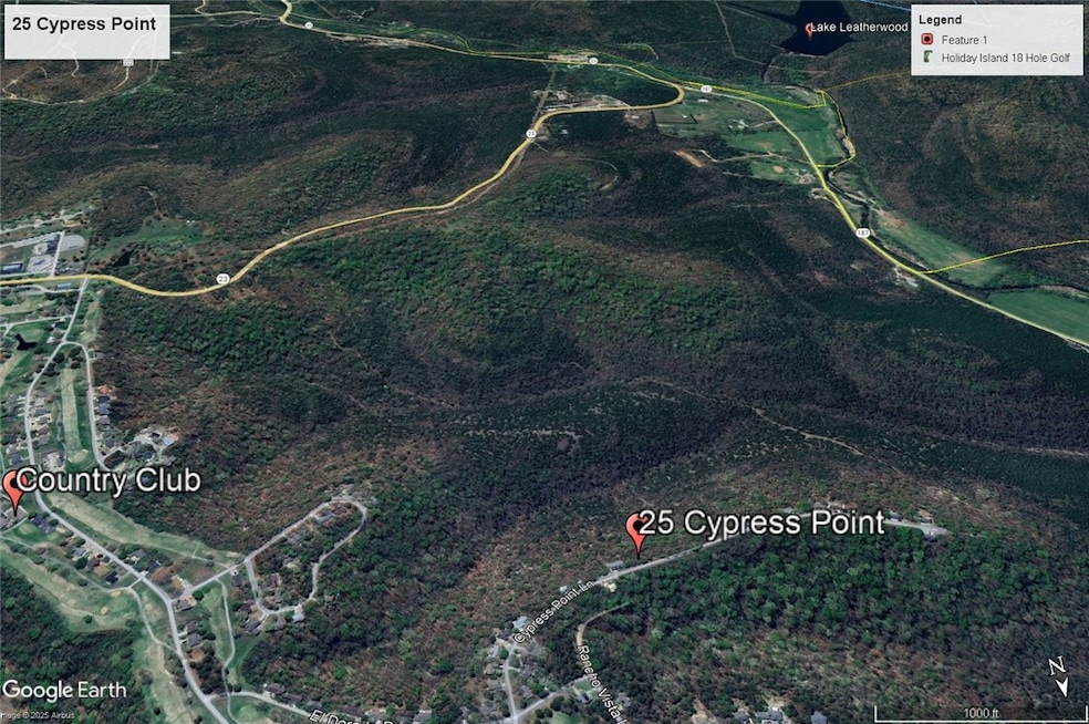 25 Cypress Point Ln, Eureka Springs, AR 72631 - photo 1