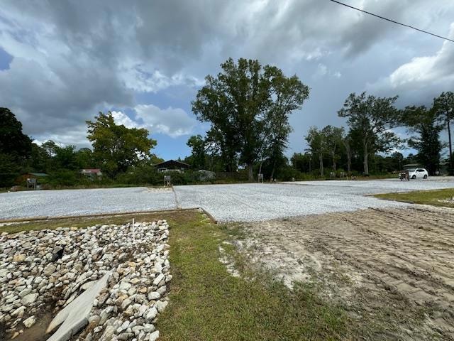 7226 Begonia St, Wewahitchka, FL 32465 - photo 1