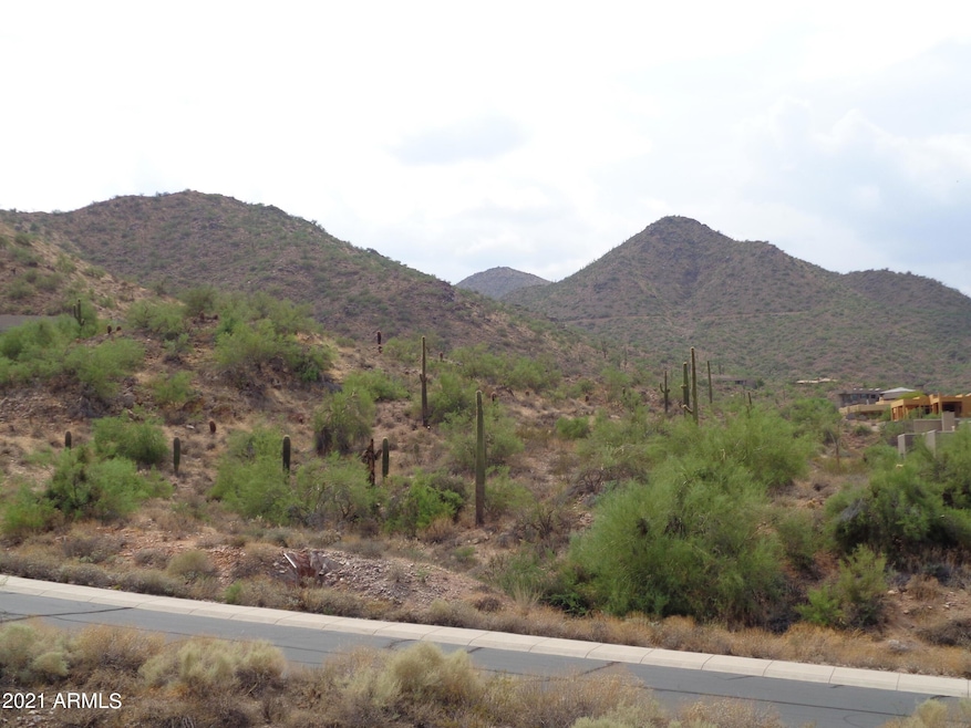 McDowell Mtns.