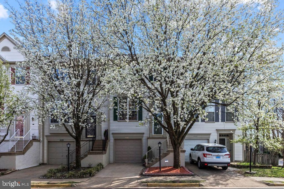 5141 Beauregard St, Alexandria, VA 22312 - photo 1