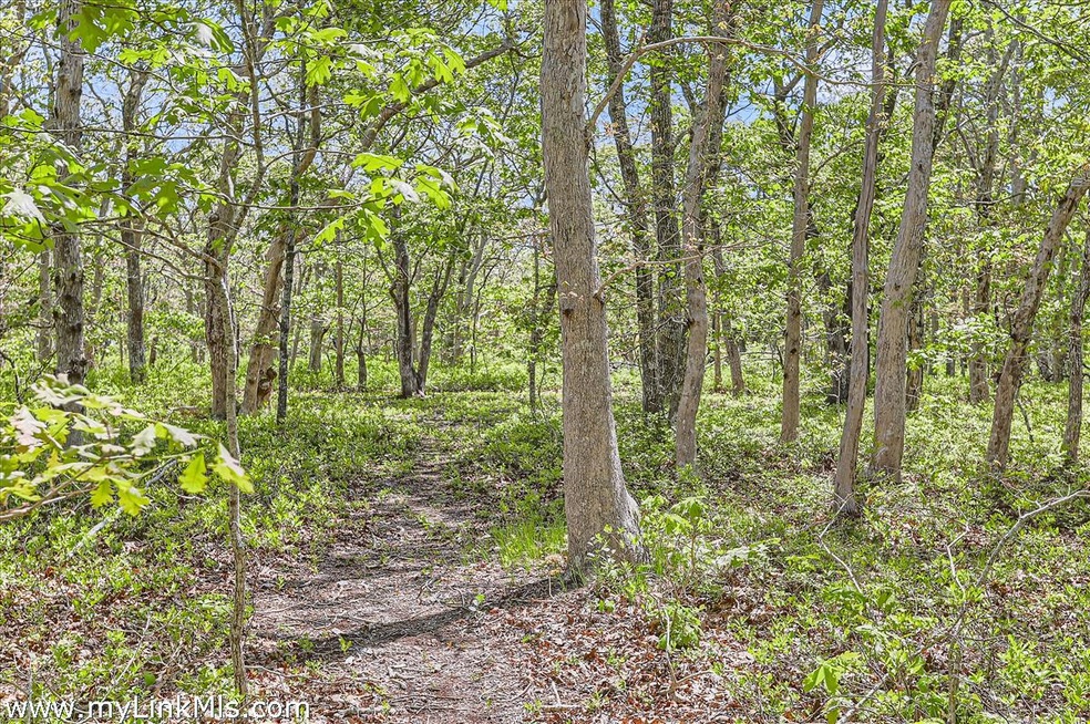A brush cut path