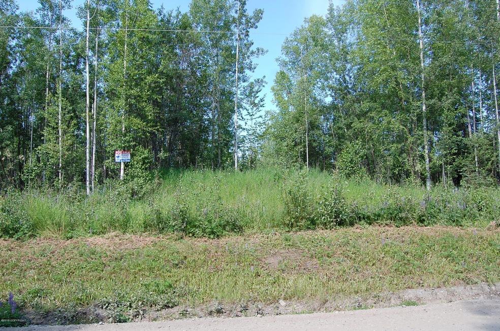 13505 Maplewood Dr, Big Lake, AK 99654 - photo 1