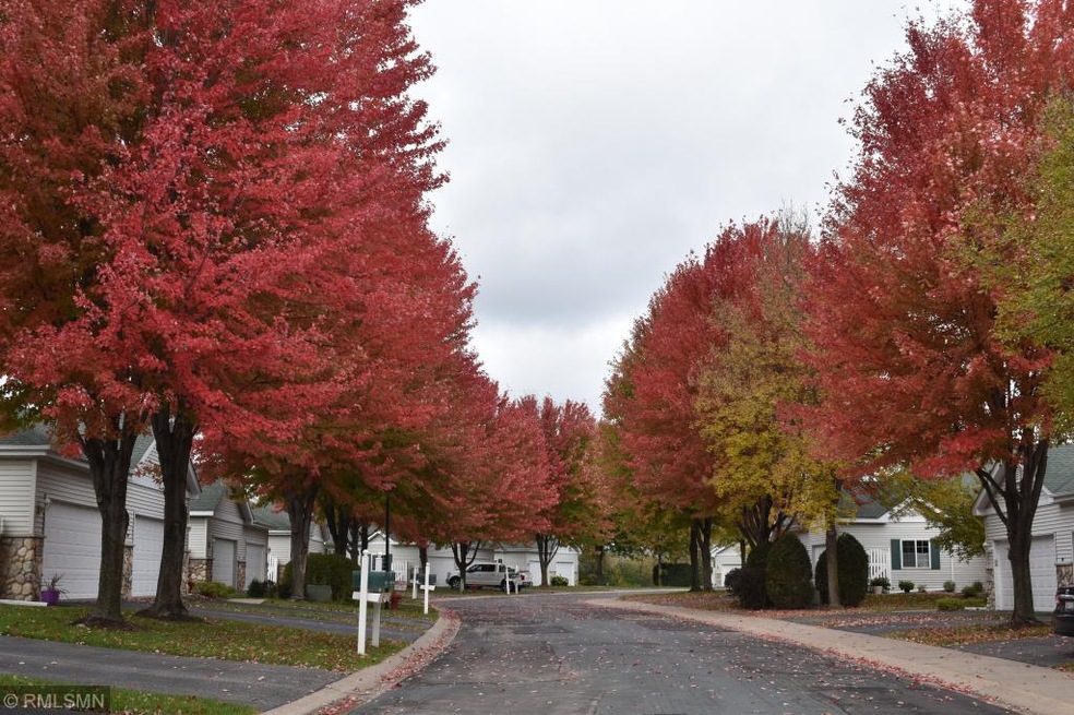 Lovely & Cozy Minnesota Street