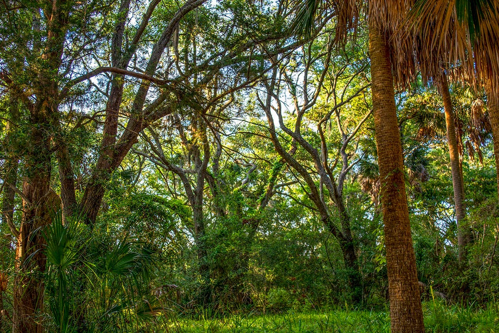 _DSC2345