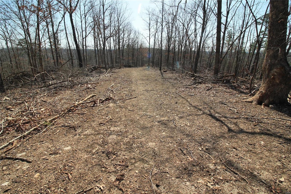 0 Madison Cr 411 (120c) unit 120c, Fredericktown, MO 63645 - photo 1