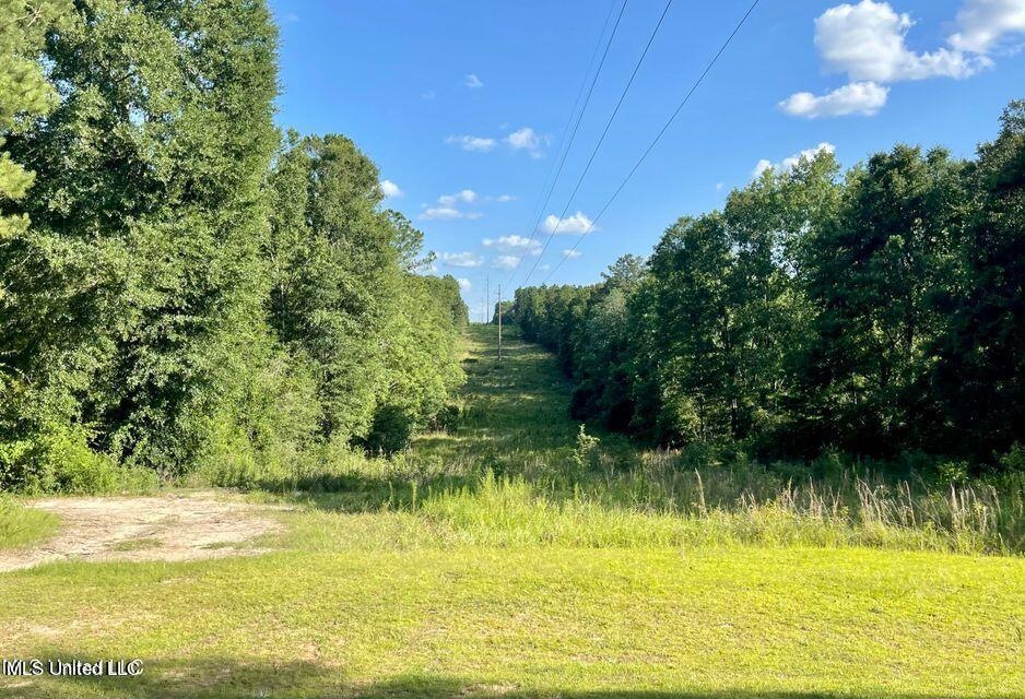 4.71 Ac September Ln, Lucedale, MS 39452 - photo 1