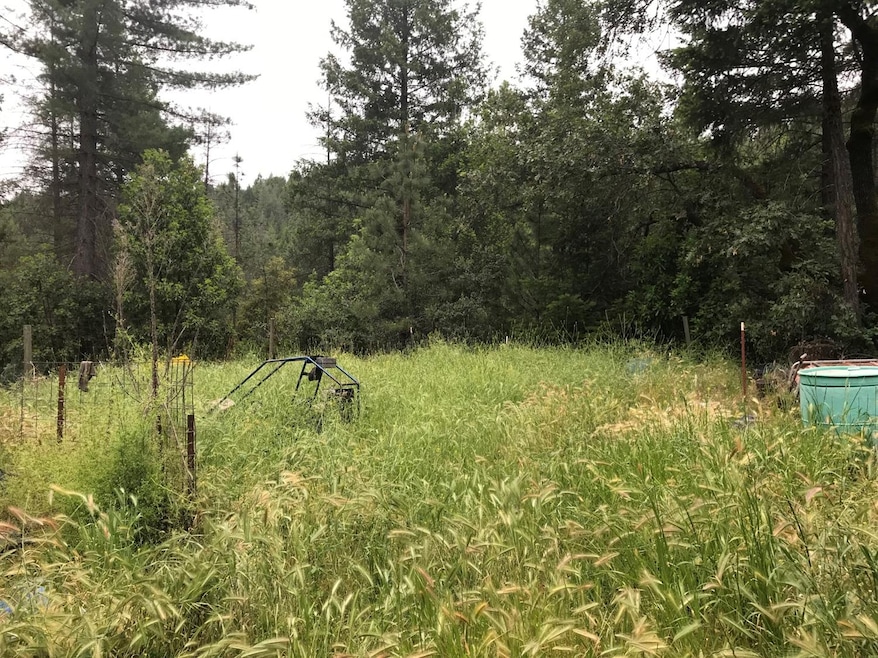 6730 Nelson Canyon Rd, Placerville, CA 95667 - photo 1