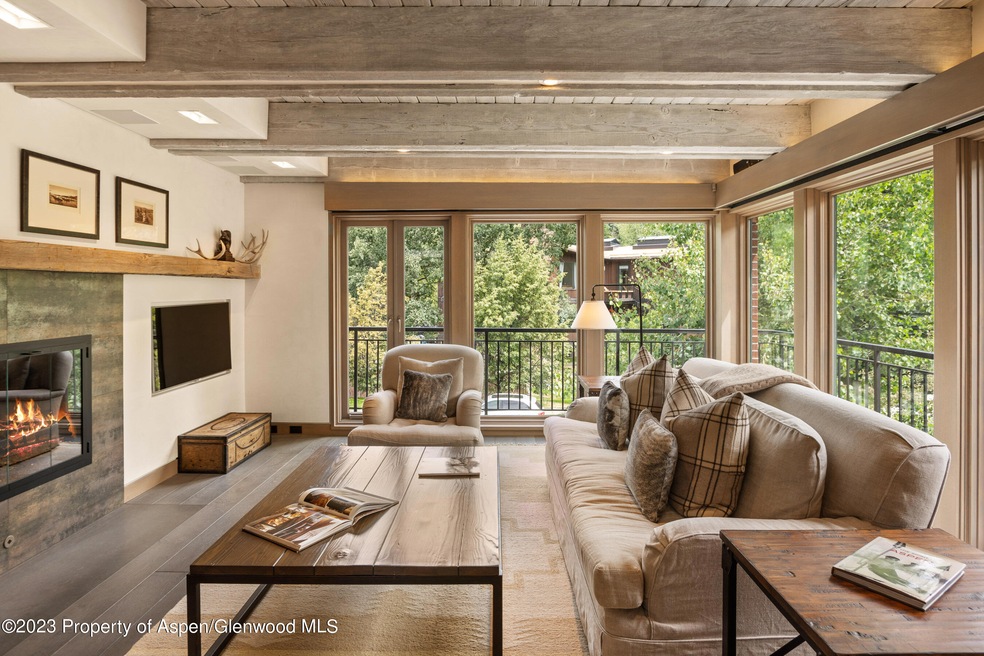 525 S Original St unit F, Aspen, CO 81611 - photo 1