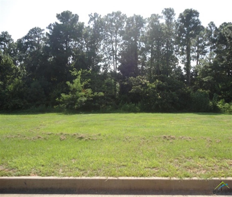 3710 Winding Way, Tyler, TX 75707 - photo 1