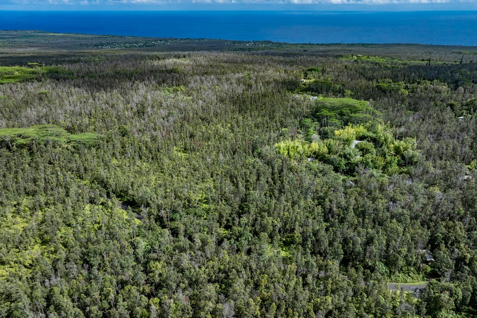 12-4235 Upper Puna Rd, Pahoa, HI 96778 - photo 1