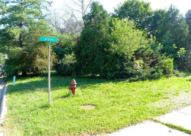 Primary Photo