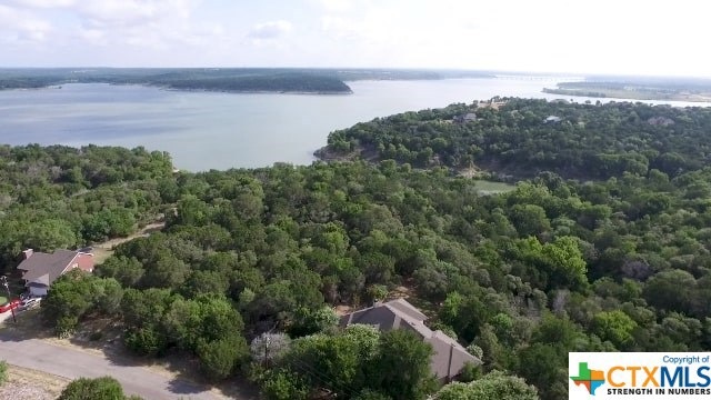 16229 Charlya Dr, Temple, TX 76502 - photo 1