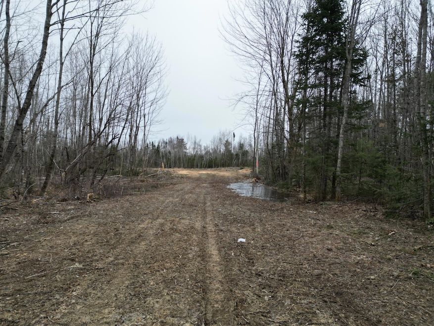 Lot 52.3 Lagrange Rd, Howland, ME 04463 - photo 1