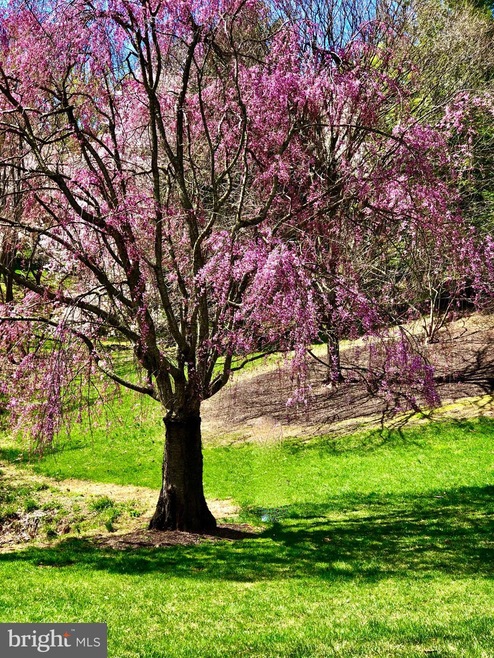 691 Budleigh Cir, Lutherville Timonium, MD 21093 - photo 1