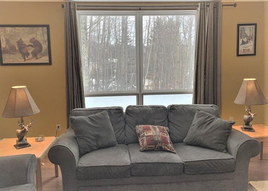 C-12 Sportscenter Village Way unit C-12, Dover, VT 05356 - photo 1