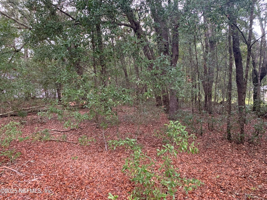 0250 Lenore Ave, Interlachen, FL 32148 - photo 1