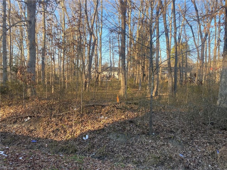 802 Luke St, Blackstone, VA 23824 - photo 1