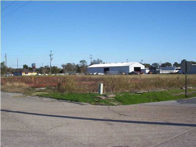 Primary Photo