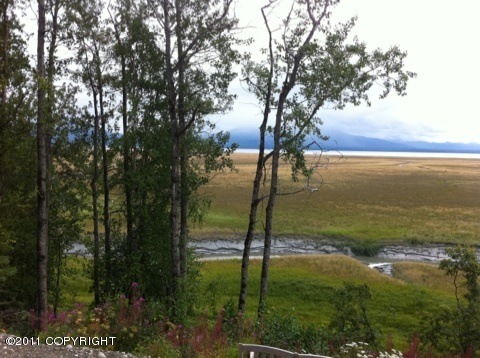 Bluff View