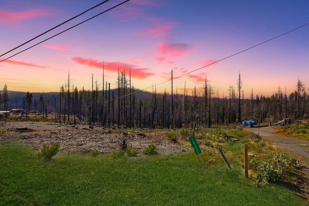 10020- Grizzly Flat Rd, Grizzly Flats, CA 95636 - photo 1